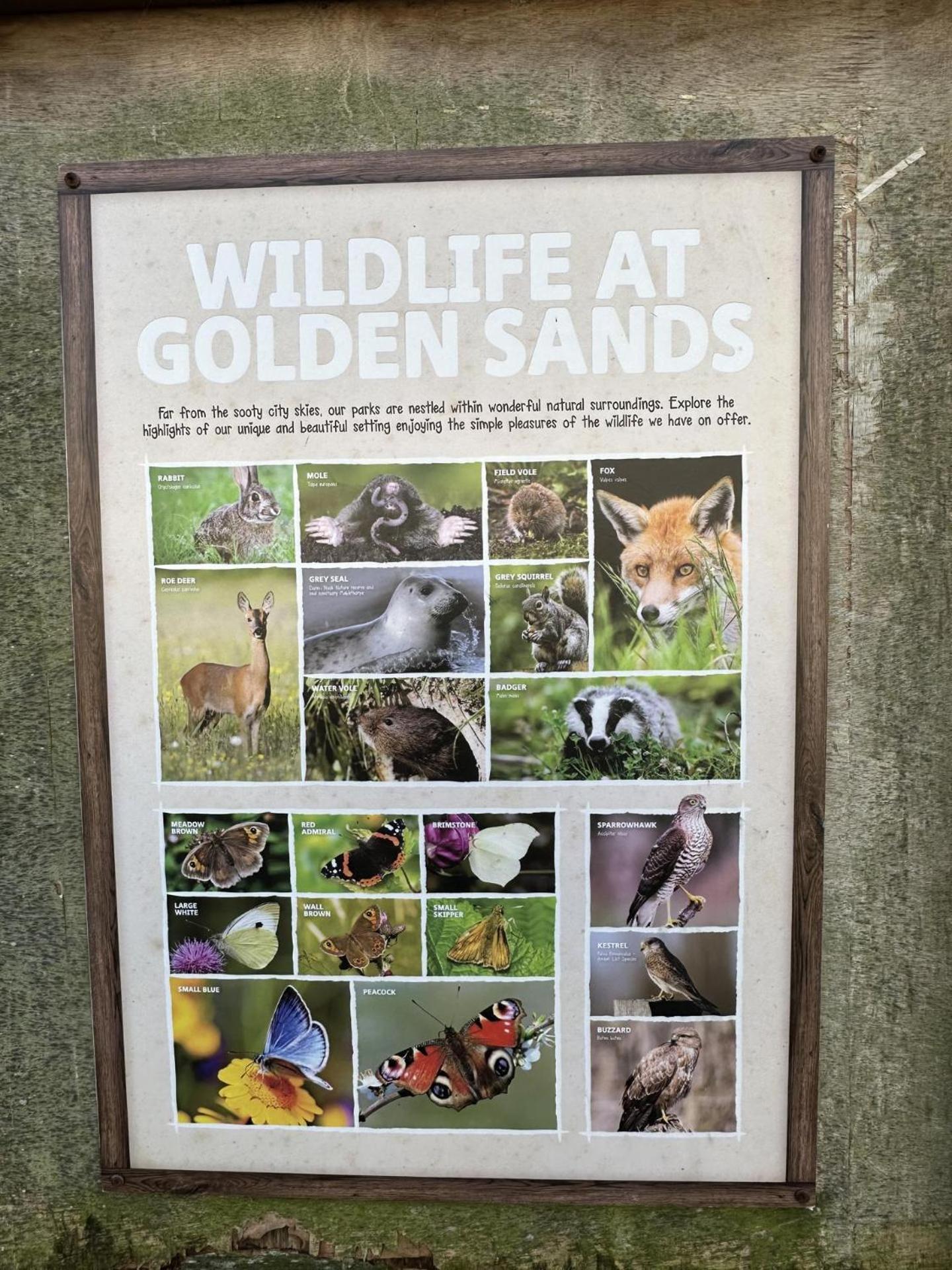 A Beautiful On Haven Golden Sands Mablethorpe